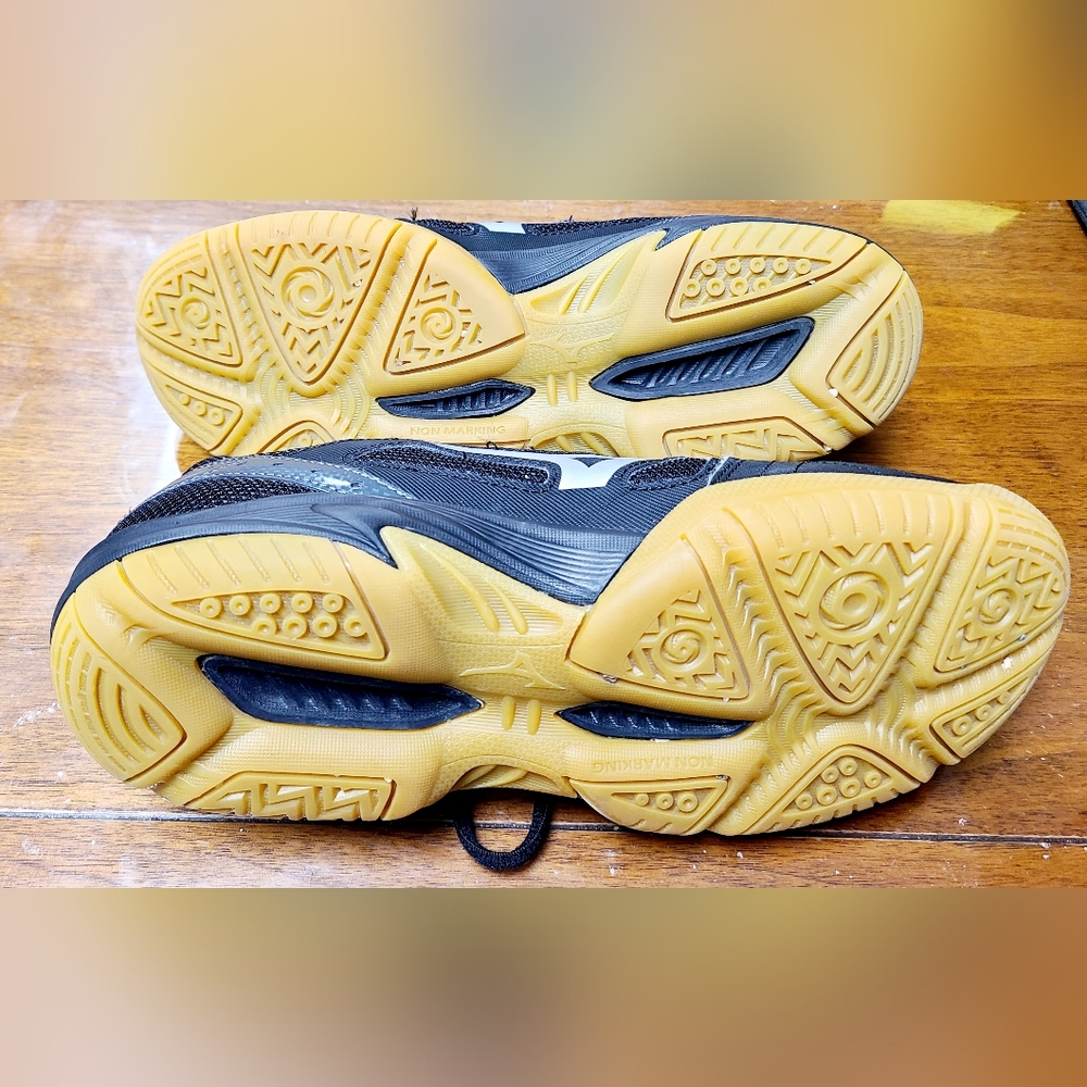 Mizuno Wave Cyclone 2